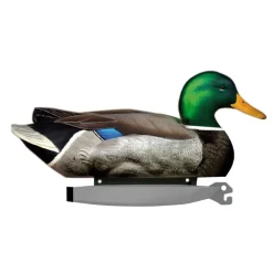 Pack de 6 Colvert Male Ultra HD moussé*Stepland Hot