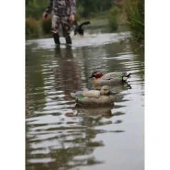 Pack de 6 Sarcelle Male Ultra HD moussé, en plastique semi-rigide*Stepland New