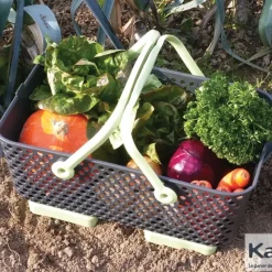 Panier de récolte et de conservation perforé 15 L (Lot de 3)*Kajo