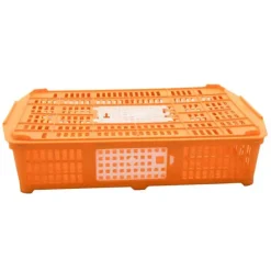 Panier de transport pour volailles 67 x 45 x 15 cm* Discount