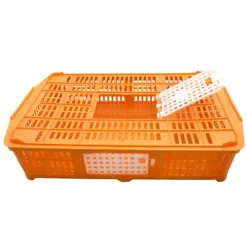 Panier de transport pour volailles 67 x 45 x 15 cm* Discount
