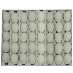 Panier d'incubation pour 40 oeufs d'oie TR40* New