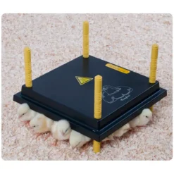 Panneau chauffant 15 W*Olba Discount