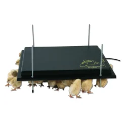 Panneau chauffant poussin 22 W*Olba Discount