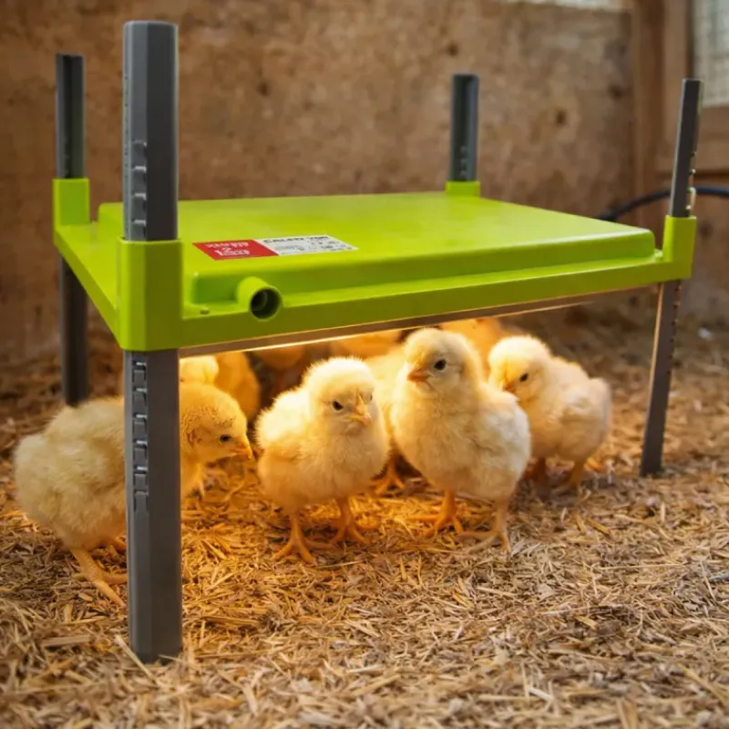 Panneau chauffant 12W à haut rendement*River Systems