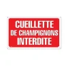 Panneau CUEILLETTE CHAMPIGNONS Akilux 26x20cm* Outlet