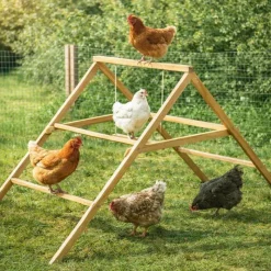 Perchoir poules en bois 2 échelles avec balançoire* Online