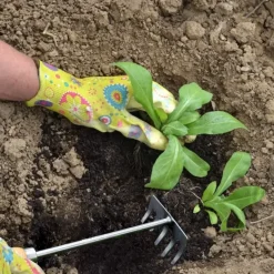 Petit râteau de jardin en acier manche bois 33 x 8 x 7 cm*