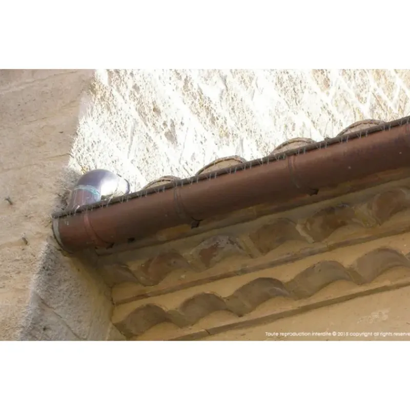 Pics anti-pigeon spécial gouttières galvanisé lot de 240* Clearance