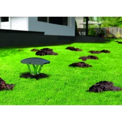 Piège à taupe Supercat® - Simple et très efficace*Ducatillon Outlet