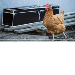 Piège boite à fauve bois 2 entrées ouverture 135x19x24* Hot