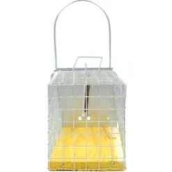 Piège cage à rat 1 entée 235 x 80 x 100 mm* Outlet