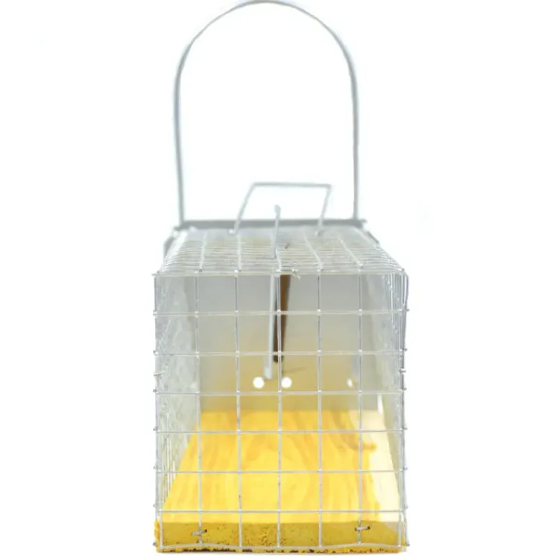 Piège cage à rat 1 entée 235 x 80 x 100 mm* Outlet