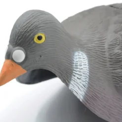 Pigeon ramier en coquille léger à l'unité*