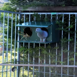Pigeonnier extérieur 2 places thermolaq. vert* Online