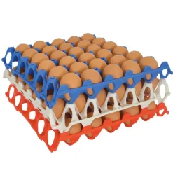 Plateau oeufs plastique empilable 30X30 CM alimentaire lot de 10* Clearance