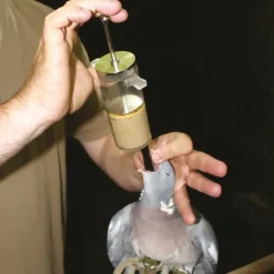 Pompe de gavage 50ml* Best