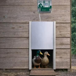 Portier à horloge + trappe canard 30x40cm*