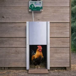 Portier à horloge + trappe standard 22x33cm* Best