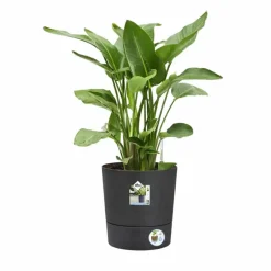 Pot de jardin Ø43xH43cm gris anthracite ® en plastique recyclé*Elho Clearance