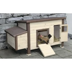 Poulailler chauffant et isolé avec thermostat 3 à 4 poules* Online