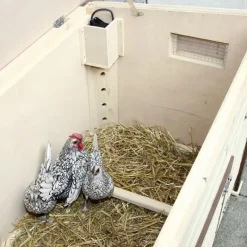 Poulailler chauffant et isolé avec thermostat 3 à 4 poules* Online