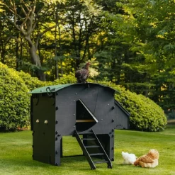 Poulailler surélevé en plastique recyclé 8 à 15 poules* Online