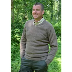 Pull Vincennes col V brun*