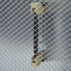 Radiant infrarouge poussins CALDO BELLO* Hot