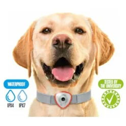 Répulsif électronique anti tiques et puces pour chien et chats noir* Outlet