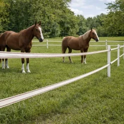 Ruban Électrifié 20mm Blanc Liseré Marron - 200m Haute Conductivité pour Clôture Cheval*Chapron-Lemenager New