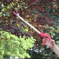 Sécateur télescopique à long manche - Coupe précise jusqu'à 2,30 m* Online