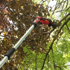 Scie sabre télescopique sans fil 12V avec rallonge 170 cm - Lames bois & métal incluses* Outlet