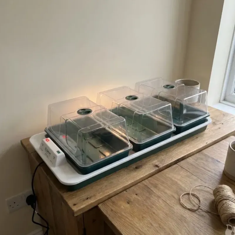 Serre chauffante BIG 3 automatique* Discount