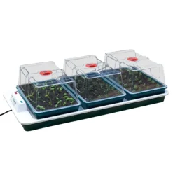 Serre chauffante BIG 3 automatique* Discount