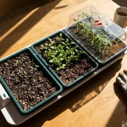 Serre chauffante BIG 3 automatique* Discount