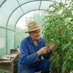 Serre de jardin 18 m² - Structure jardinage extérieur*