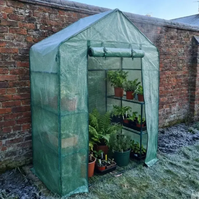 Serre de jardin avec étagères 143 x 73 x 195 cm* Outlet