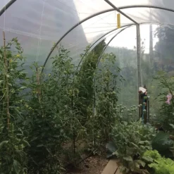 Serre de jardin essentielle Largeur 3 x 4.50 m*Les Serres Tonneau Discount