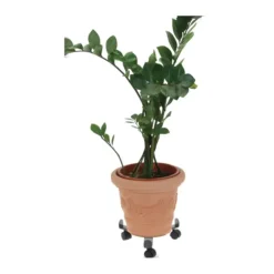 Support de plantes à 3 roulettes 22,5 à 30 cm* Clearance