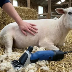 Tondeuse pour moutons - Heiniger Xpert*