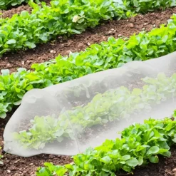 Tunnel de croissance 3m pour potager* Clearance