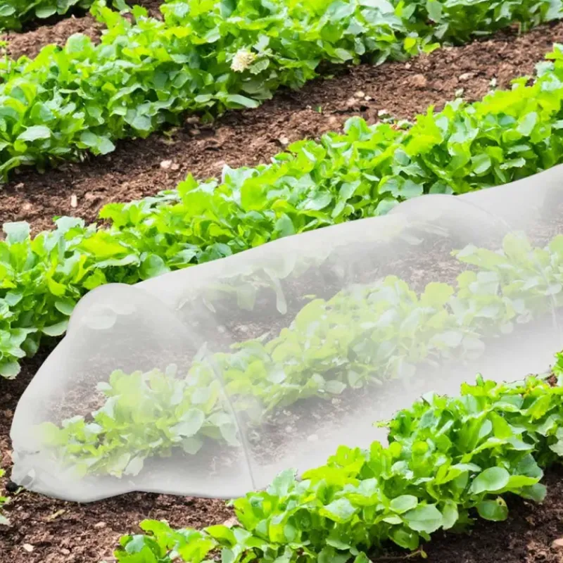 Tunnel de croissance 3m pour potager* Clearance