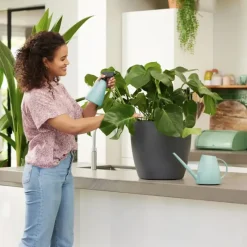 Vaporisateur à plantes 0,7 L*Elho Online