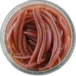 Vers Naturels ® 3cm - Appât pour Truite et Carnassiers*Powerbait Hot